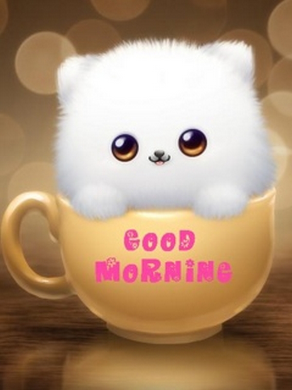 Free Download Good Morning Wallpaper For Mobile - Good Morning Cute Images Download - HD Wallpaper 