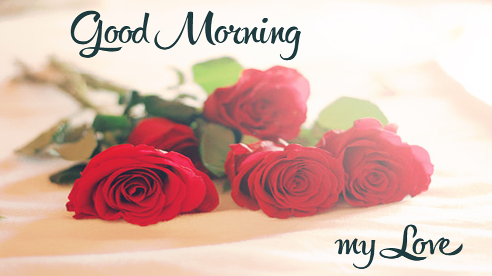 Good Morning New Photo 2018 Impremedia - Love Good Morning Wish - HD Wallpaper 