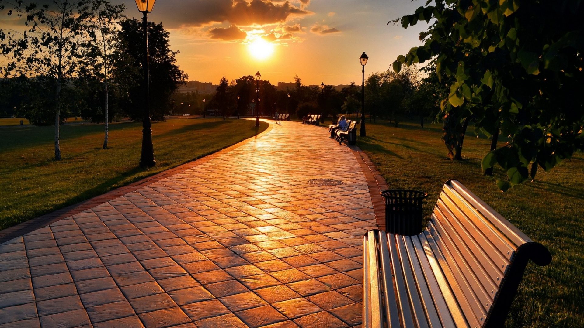 Festival Tag Wallpapers Lights Festival Wallpaper Hd - Park Sunset - HD Wallpaper 