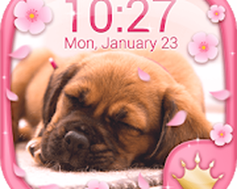 Cute Puppy Live Wallpaper - Faixa De Parede De Cachorros - HD Wallpaper 