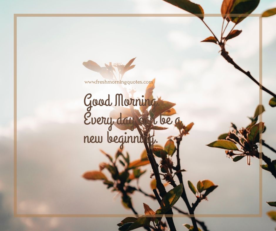 Everyday Is A New Beginning - Magnolia - HD Wallpaper 