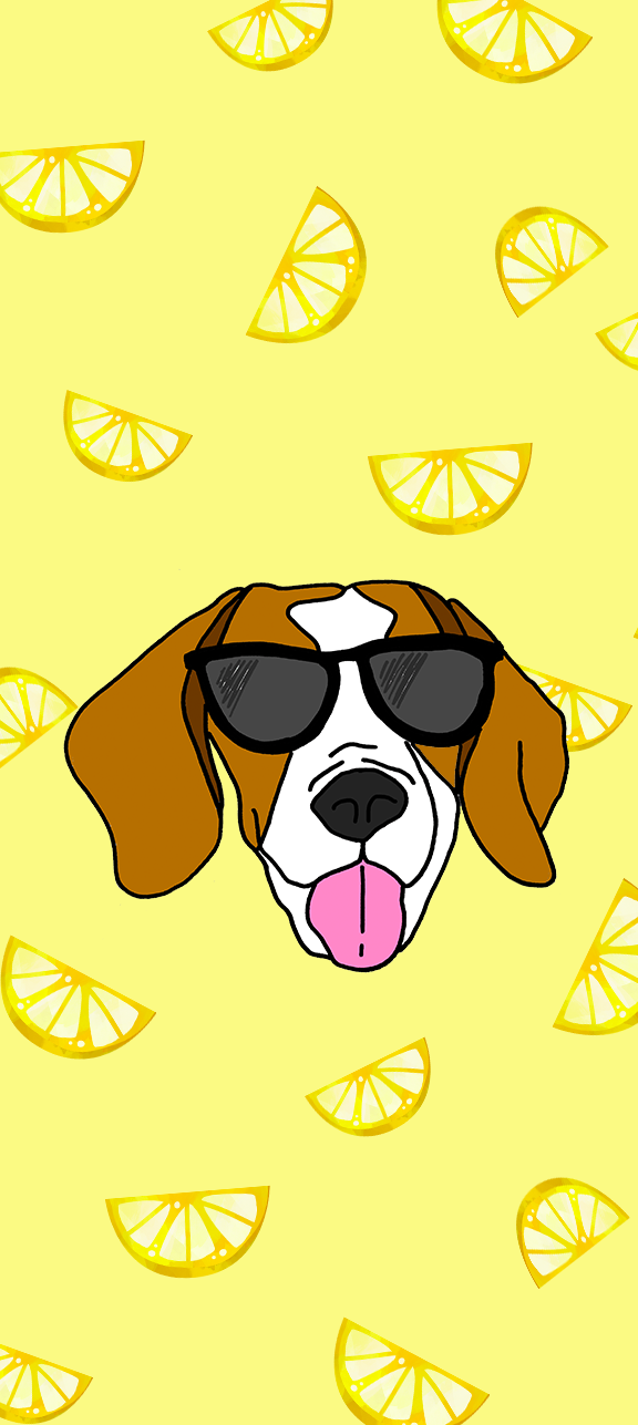 Heart Puppy - HD Wallpaper 