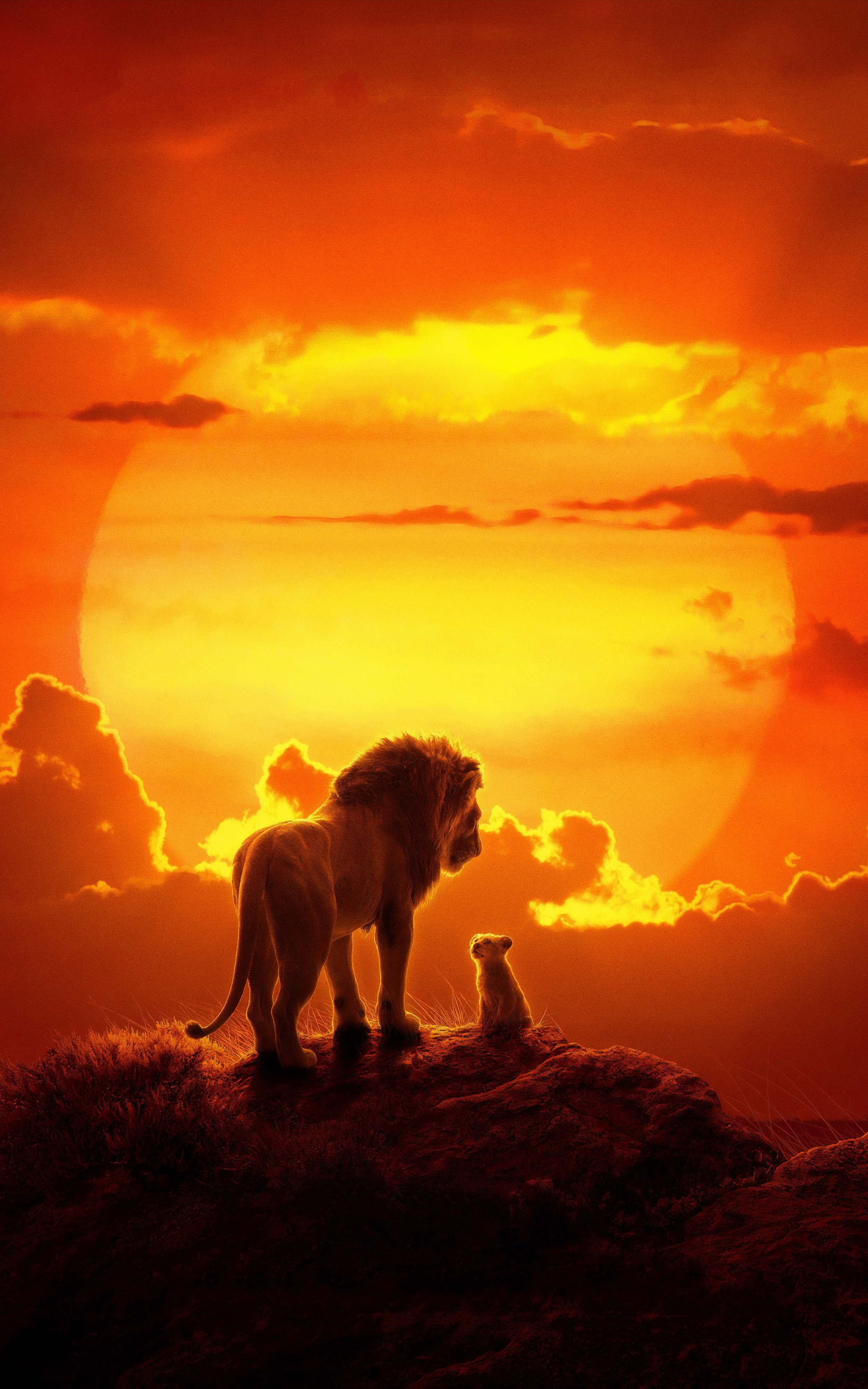 Iphone 6 Lion King - HD Wallpaper 