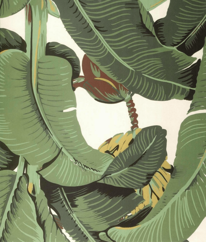 Martinique Banana Leaf Art - 800x938 Wallpaper Martinique Banana Leaf Art - 800x938 Wallpaper