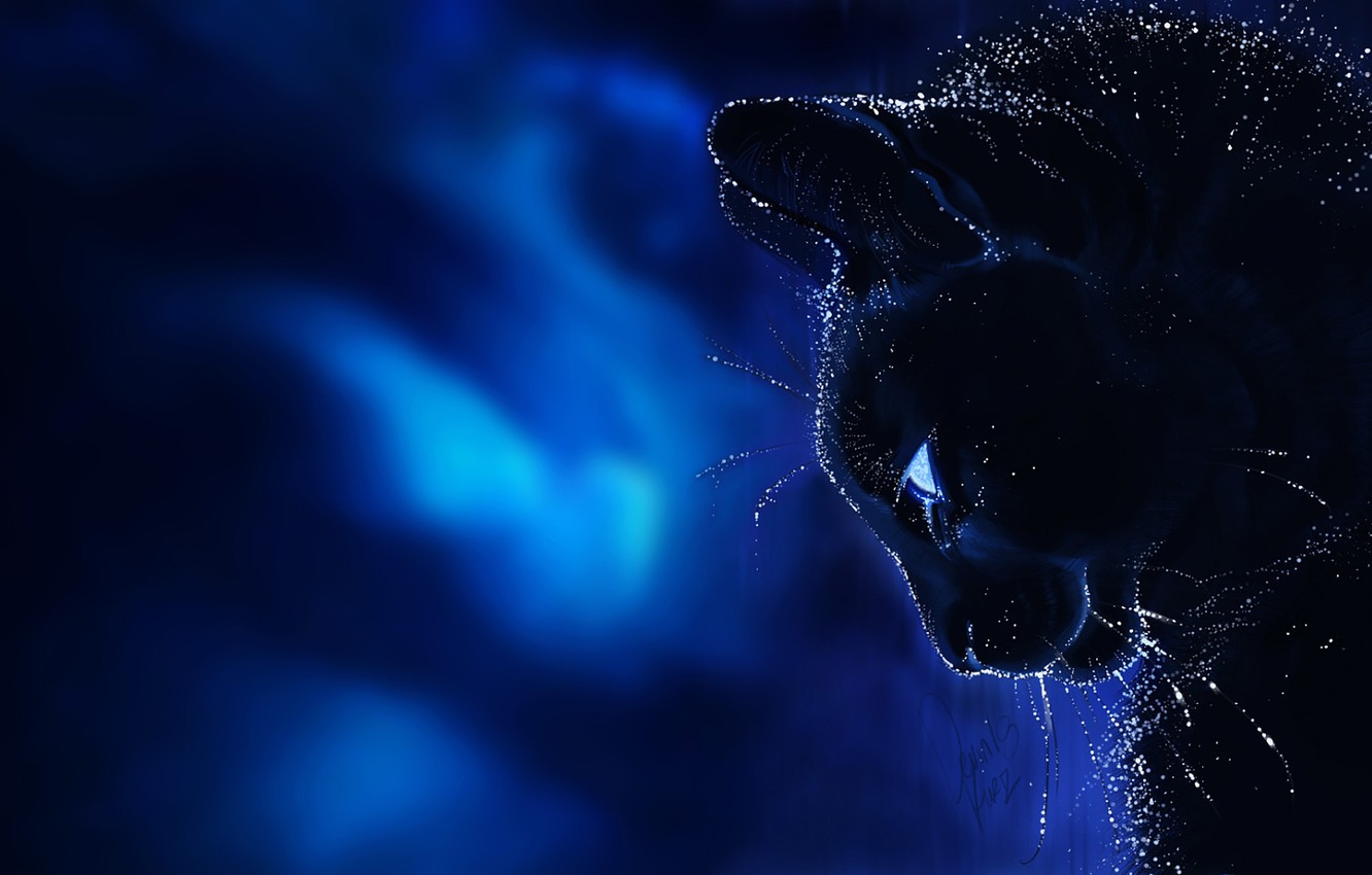 Photo Wallpaper Cat, Mustache, Background, Fantasy, - Background Fantasy - HD Wallpaper 