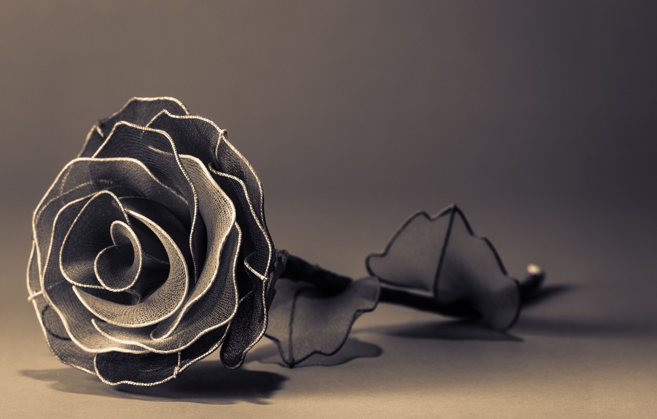 Photo Wallpaper Flowers, Background, Widescreen, Black - Full Screen Black Wallpaper Hd - 1332x850 Wallpaper Photo Wallpaper Flowers, Background, Widescreen, Black - Full Screen Black Wallpaper Hd - 1332x850 Wallpaper