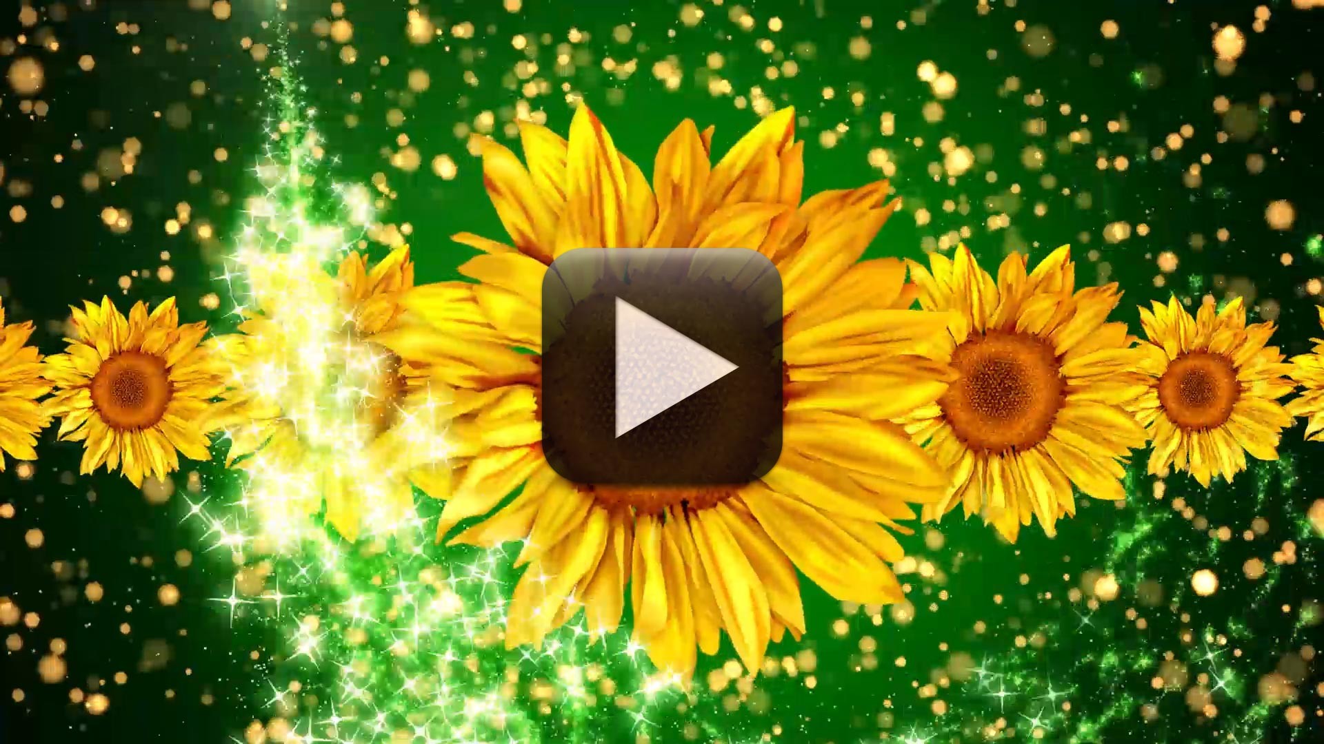 Free Wedding Motion Background Loop 1080p Full Hd - Wedding Background Images 1080p - 1920x1080 Wallpaper Free Wedding Motion Background Loop 1080p Full Hd - Wedding Background Images 1080p - 1920x1080 Wallpaper
