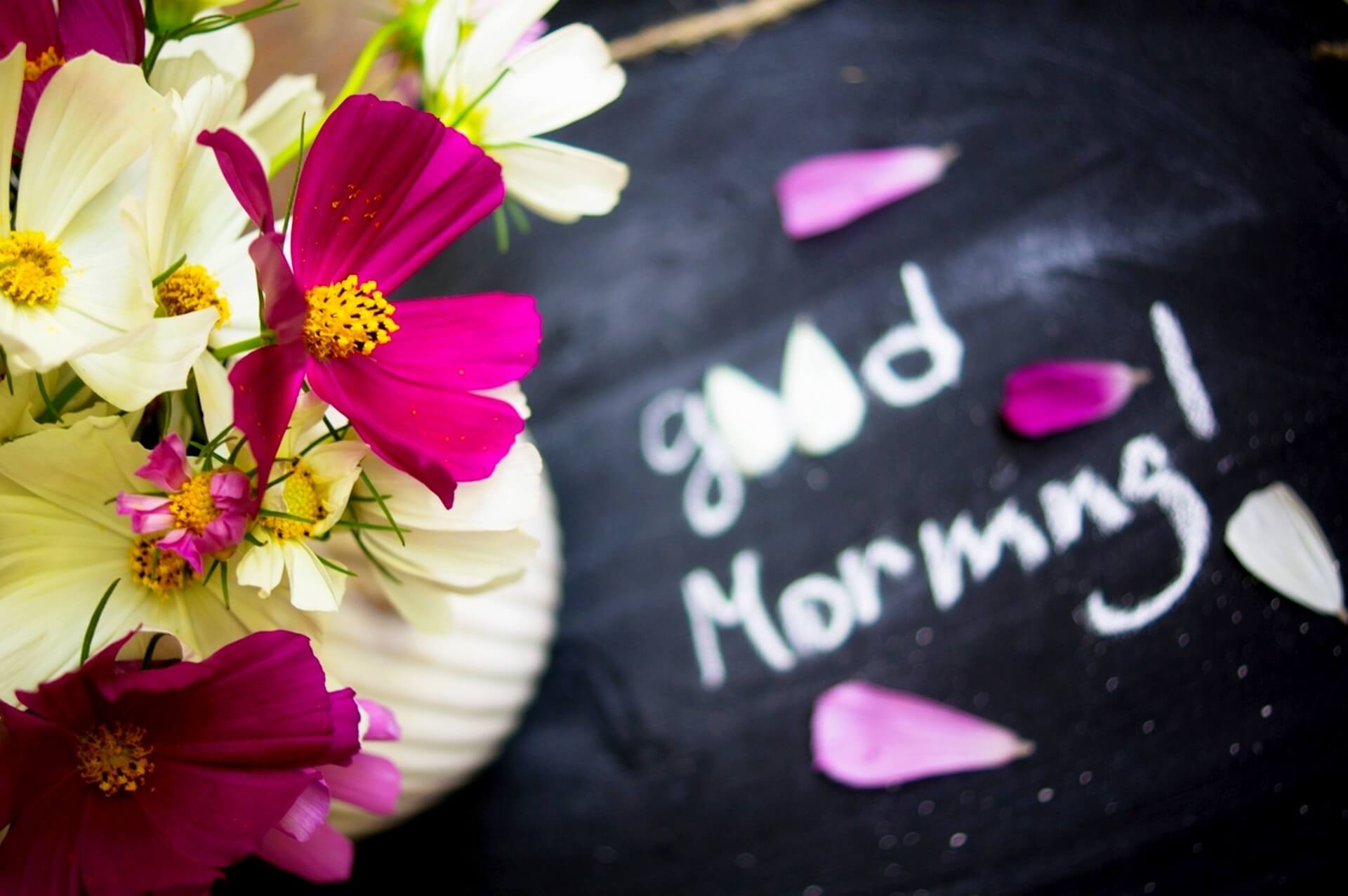 Good Morning My Love Wallpapers - 1080p Good Morning Images Hd - 1920x1276 Wallpaper Good Morning My Love Wallpapers - 1080p Good Morning Images Hd - 1920x1276 Wallpaper