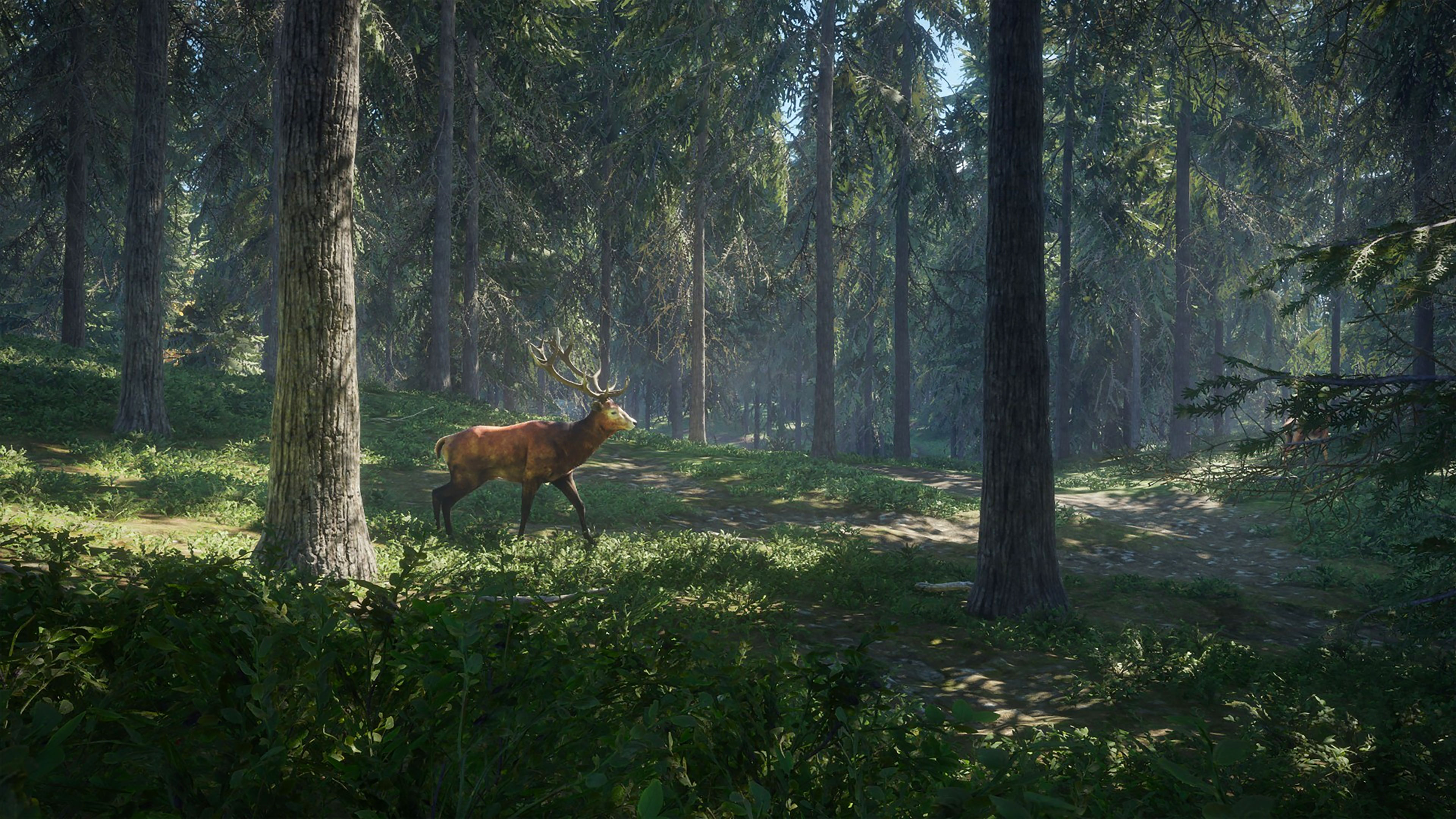 Thehunter Call Of The Wild - HD Wallpaper 