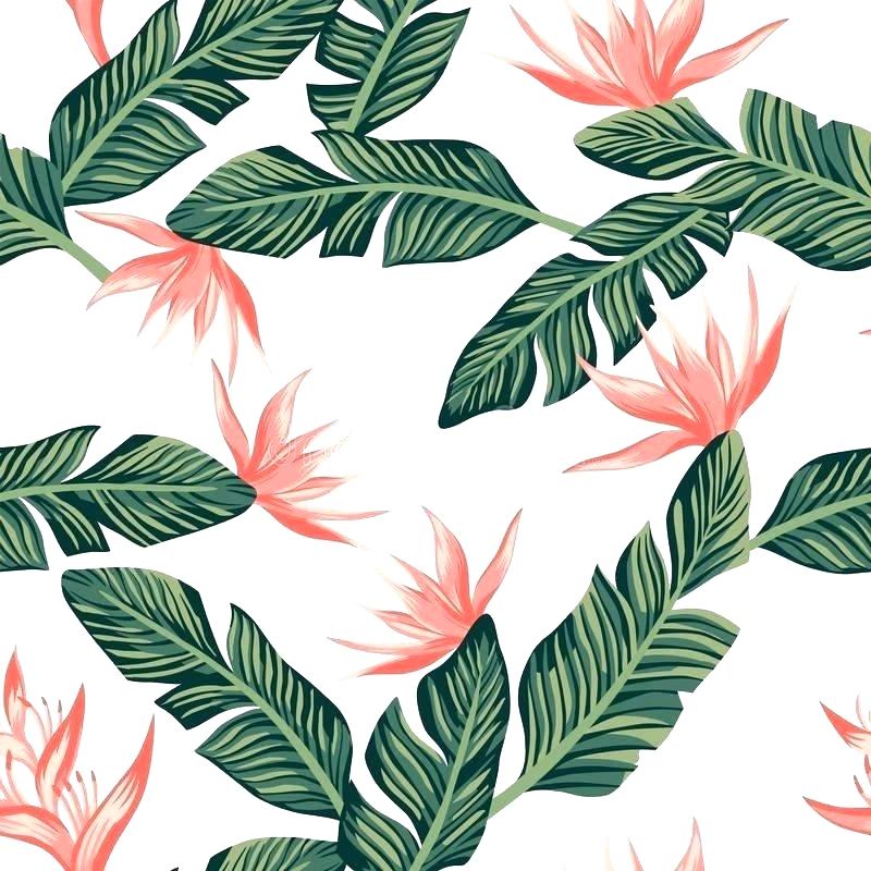 Tropical Leaves Wallpaper Hd - HD Wallpaper 
