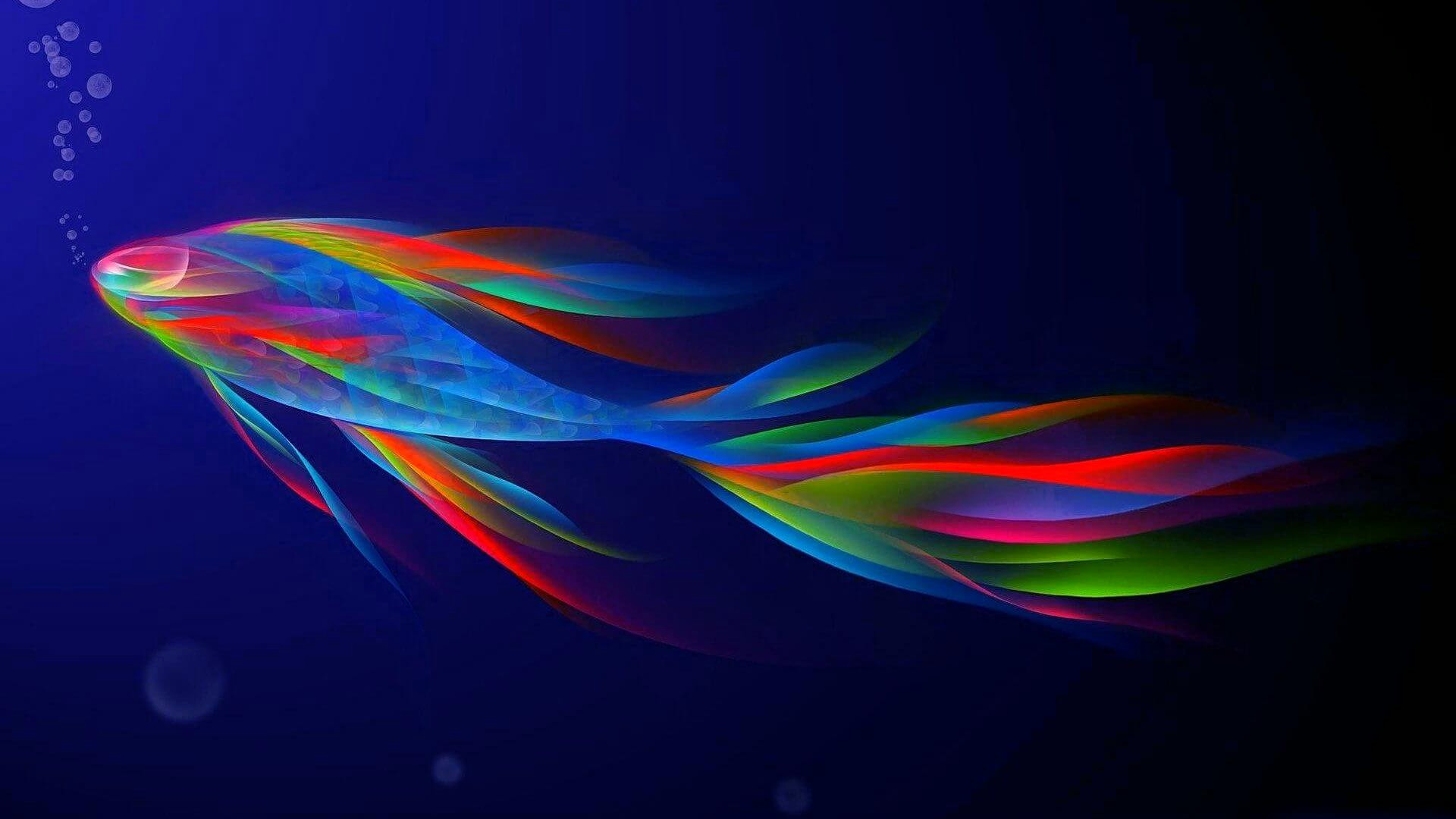 1920x1080, Dynamic Wallpaper - Real Life Rainbow Fish - HD Wallpaper 