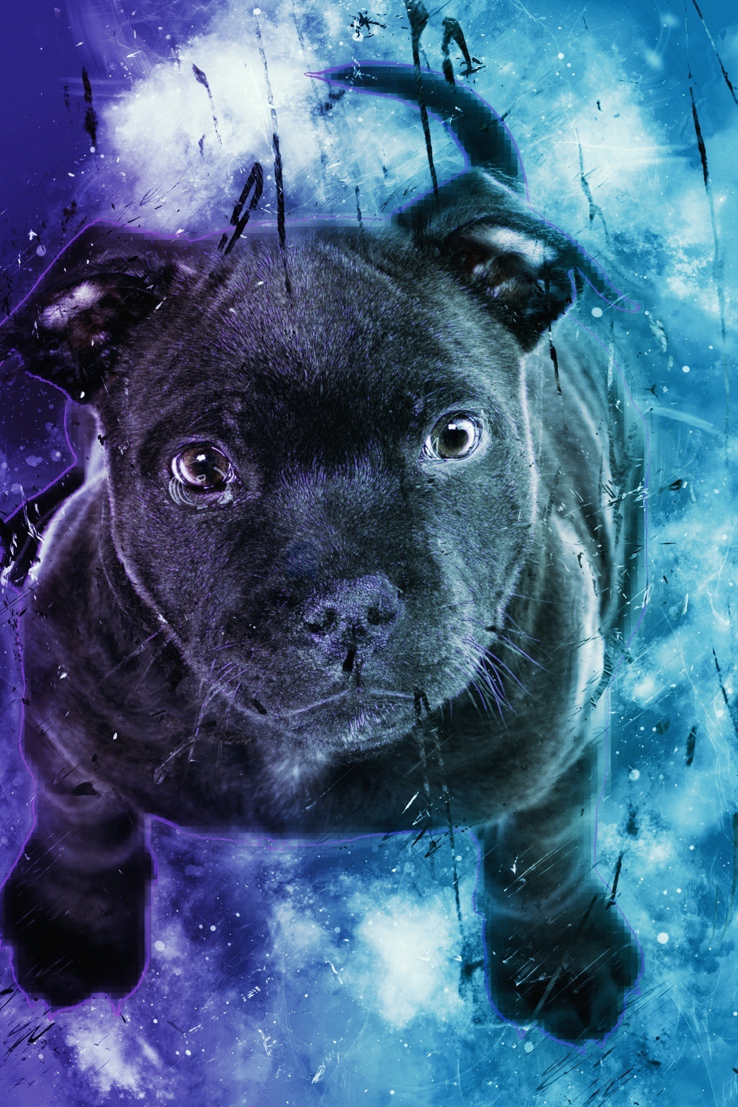 Black Puppy, Dog, Cute, Digital Art, Wallpaper - Galaxy Dog - 1440x2160  Wallpaper 