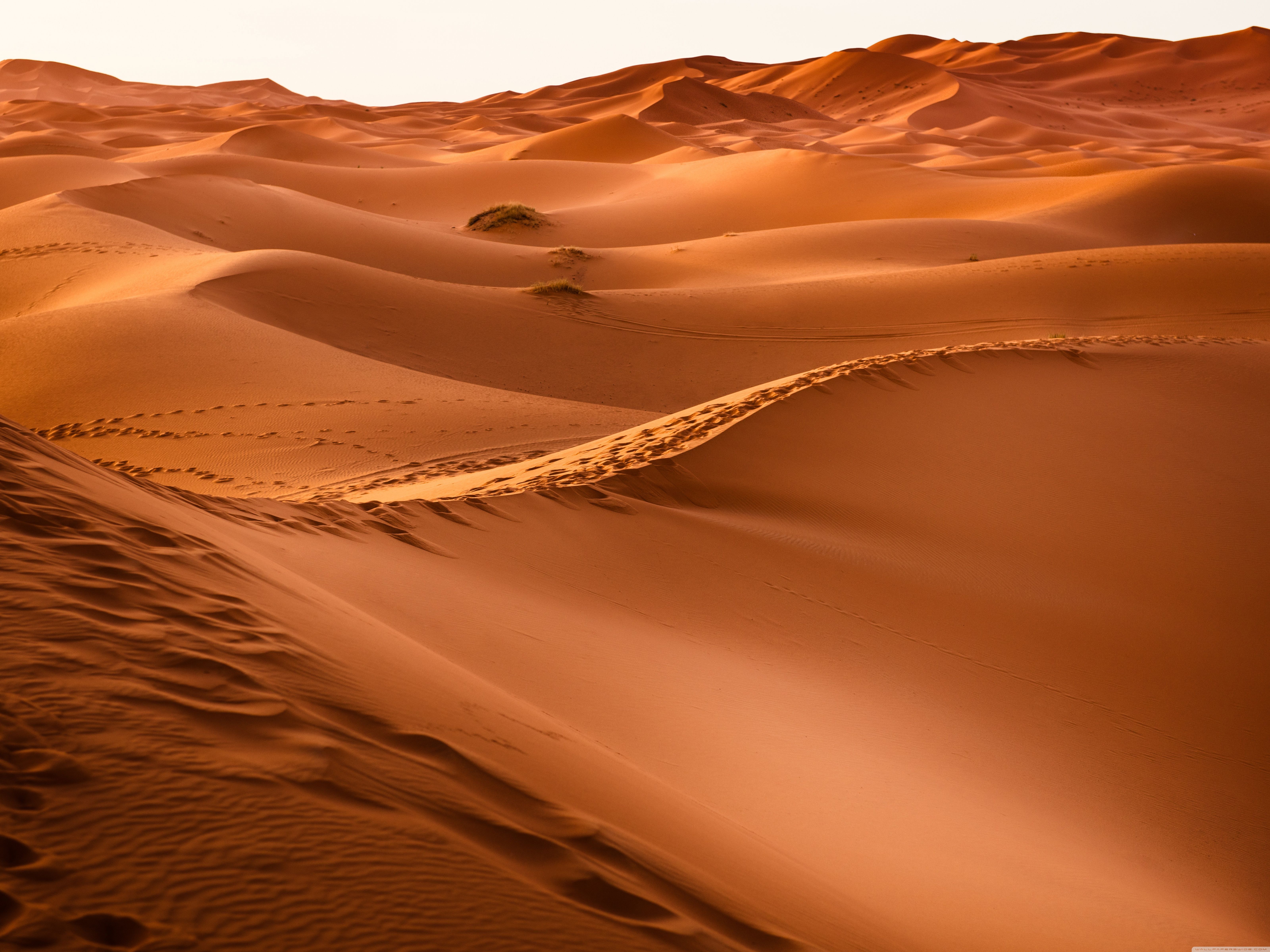 Com ❤ Desert Hd Desktop Wallpapers For 4k Ultra Hd - Desert Images Hd - HD Wallpaper 