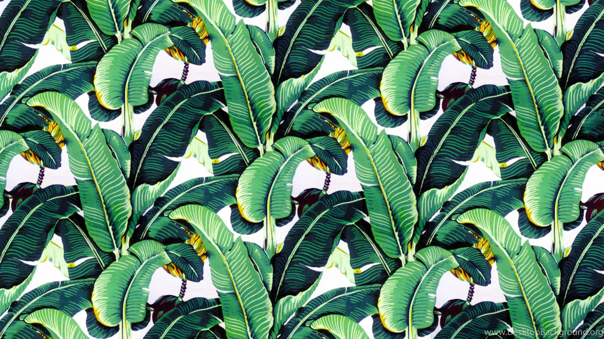 Banana Leaf Wallpapers Design Martinique - Hd Background Banana Leaves - HD Wallpaper 