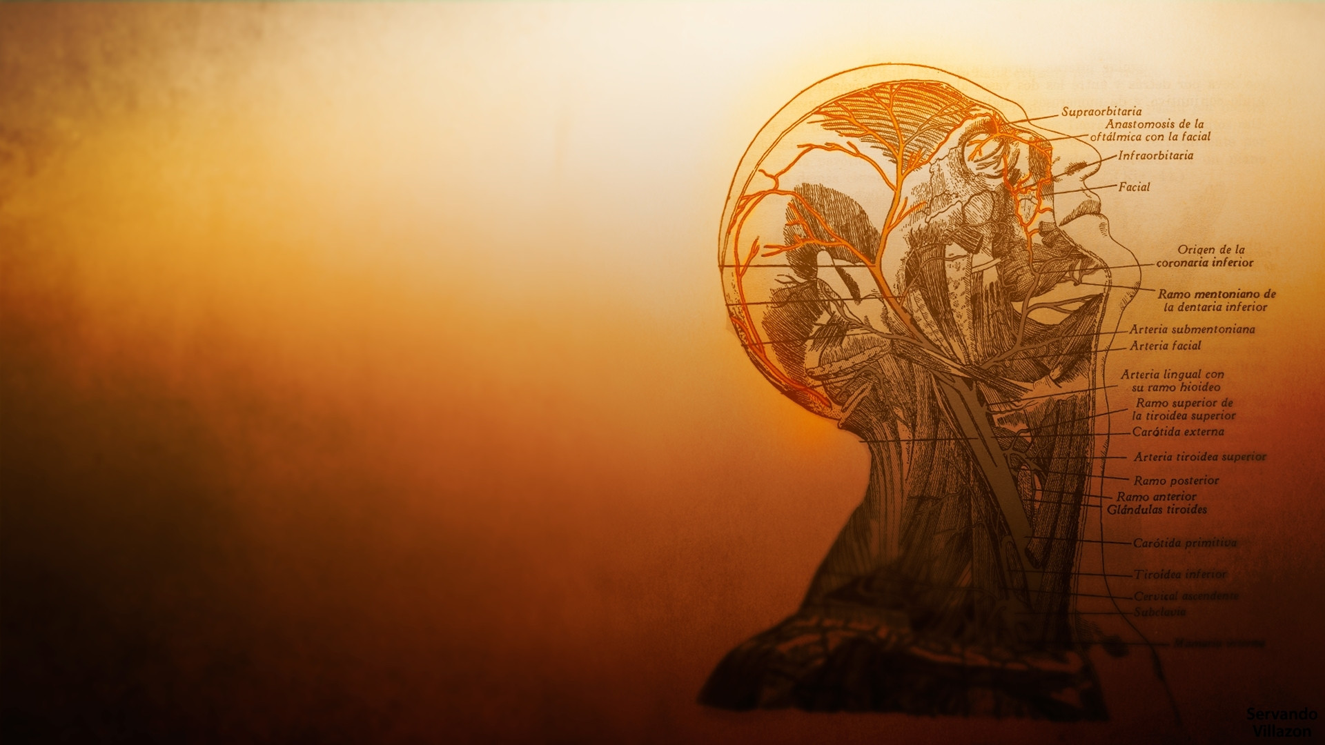 1920x1080, Medical Wallpapers - Medical Laptop Background - HD Wallpaper 