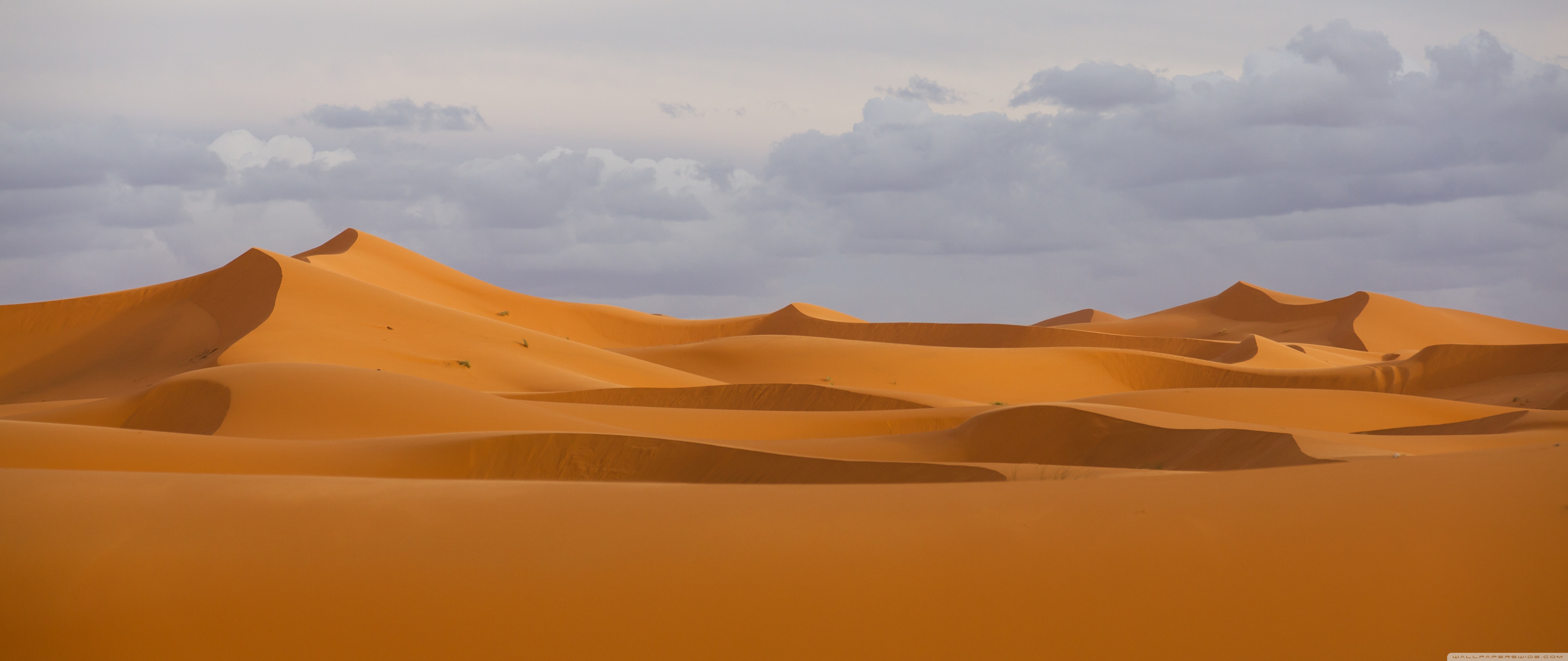 Sahara Desert Hd - HD Wallpaper 