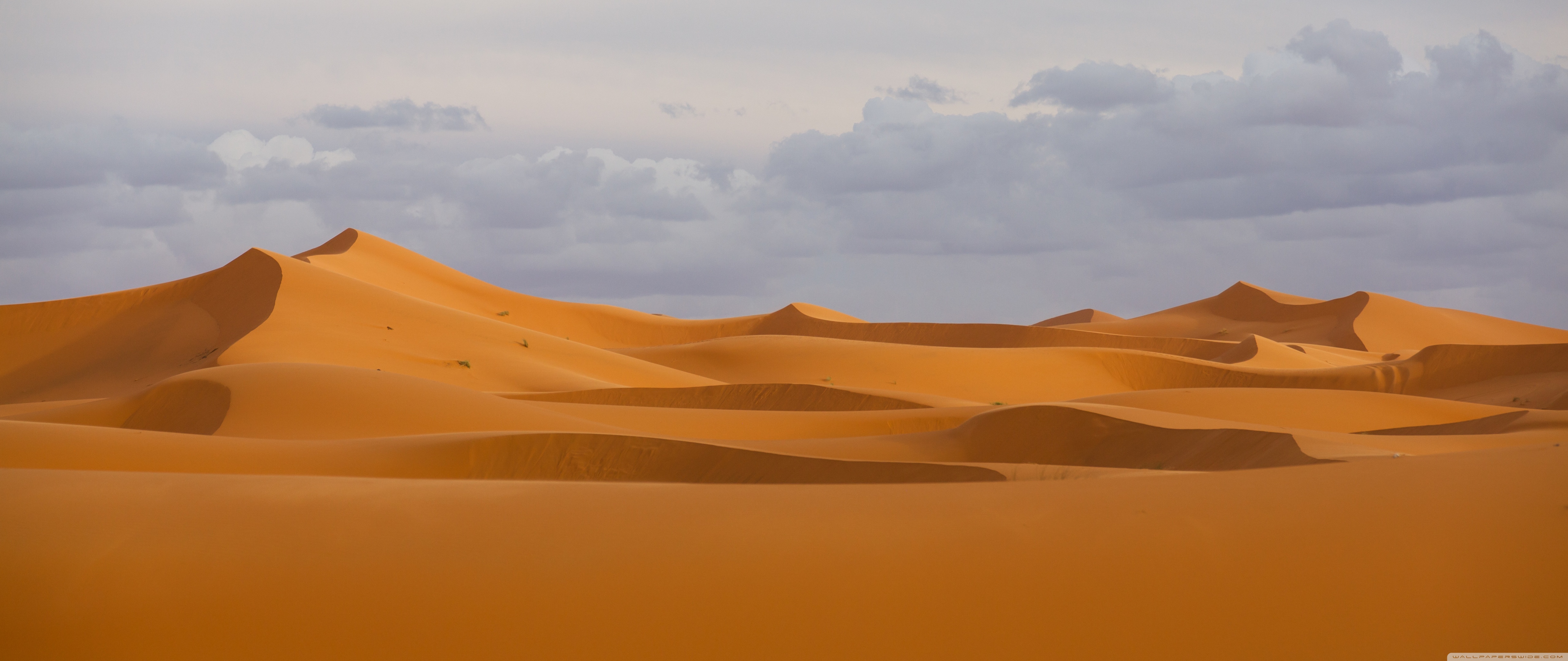 Sahara Desert Hd 51x2160 Wallpaper Teahub Io Sahara Desert Hd 51x2160 Wallpaper Teahub Io