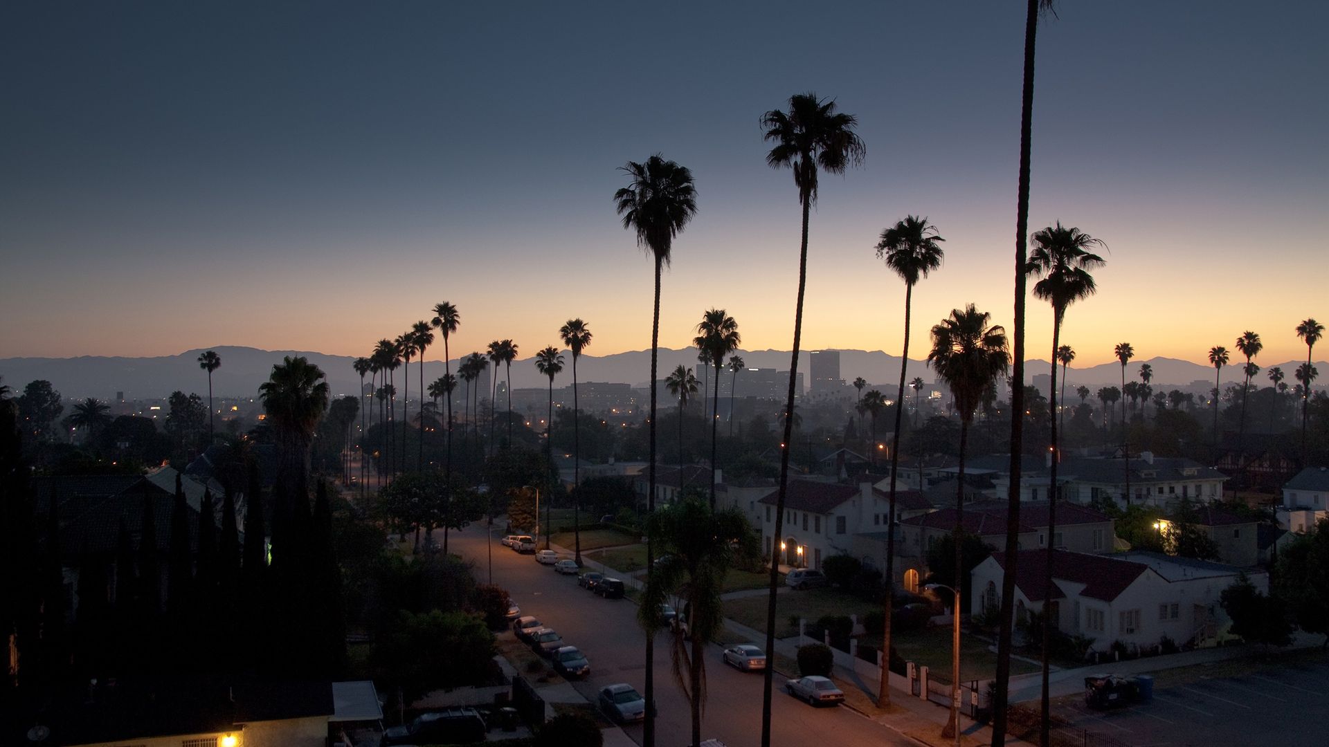 Palm Tree Night View California - Los Angeles - HD Wallpaper 