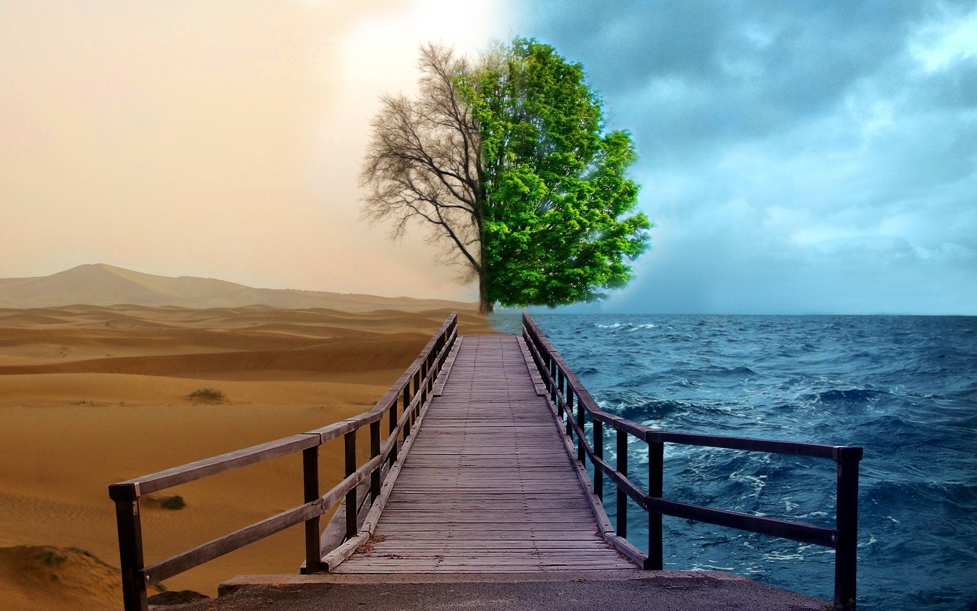 Creative Nature Hd Wallpapers - Different Perspectives Of The World - 1920x1200 Wallpaper Creative Nature Hd Wallpapers - Different Perspectives Of The World - 1920x1200 Wallpaper