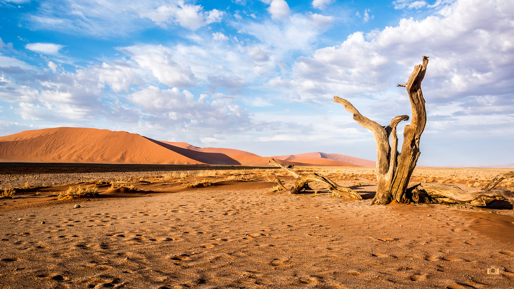 Desert Wallpaper 4k - 1024x576 Wallpaper Desert Wallpaper 4k - 1024x576 Wallpaper