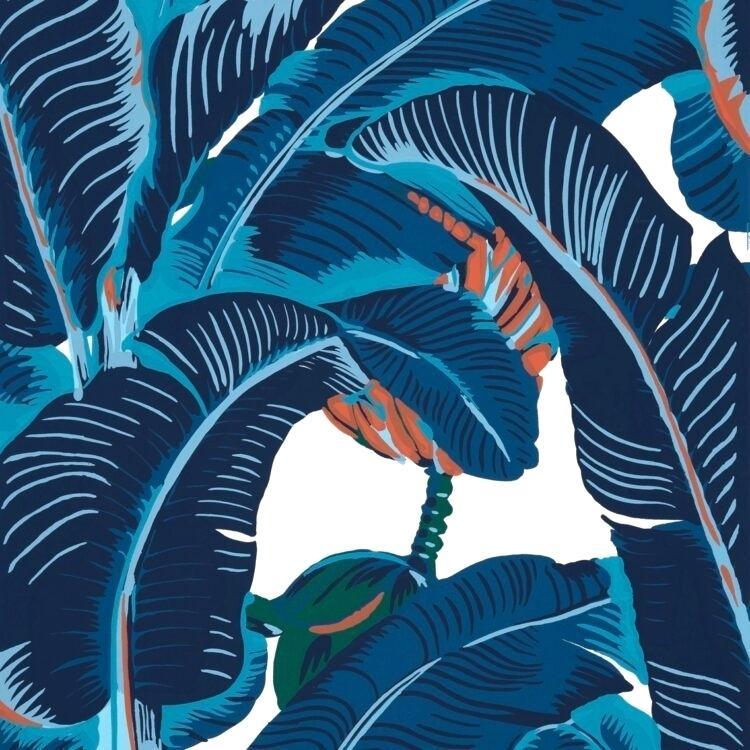 Banana Leaf - HD Wallpaper 