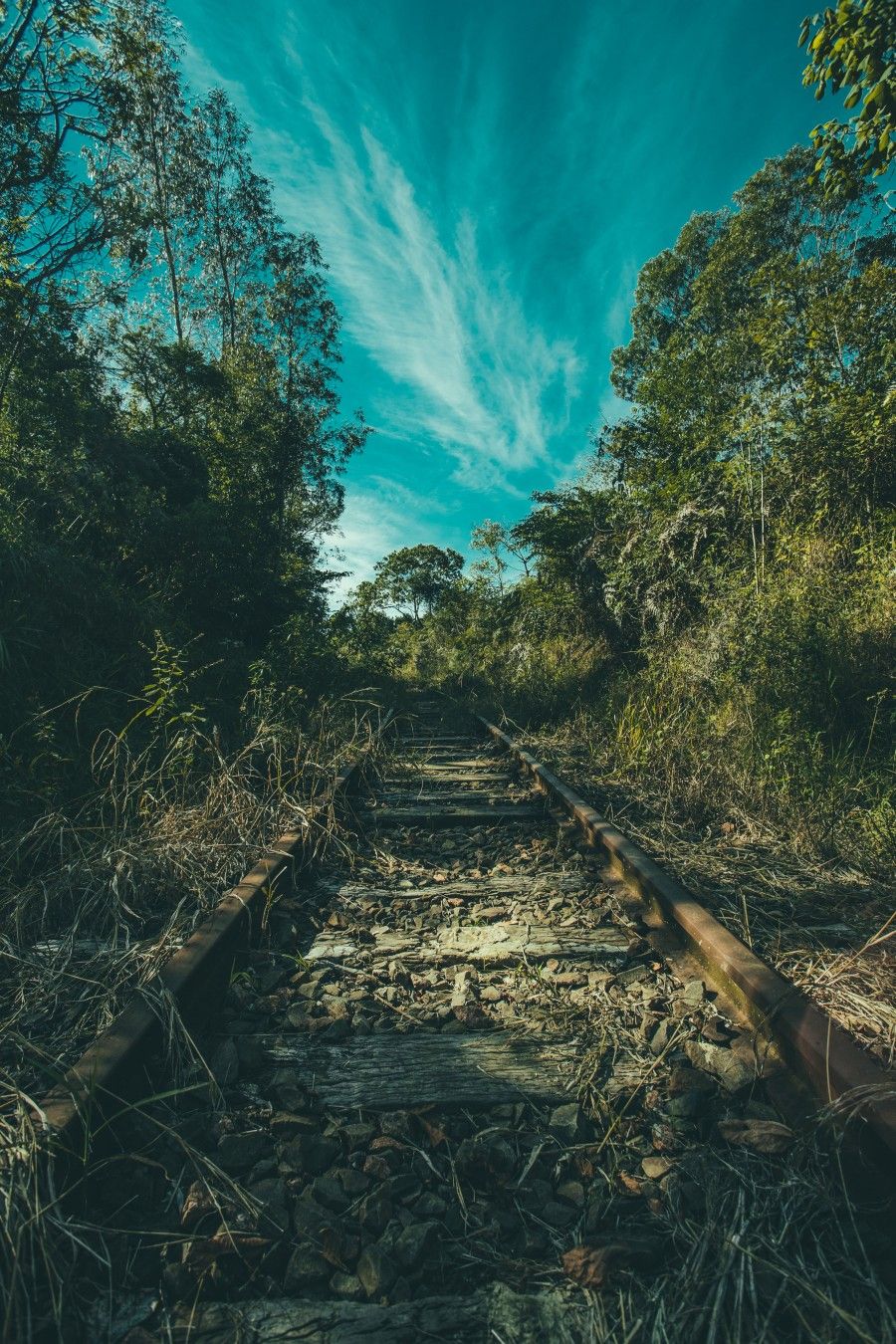 1440 X 2560 Hd - HD Wallpaper 