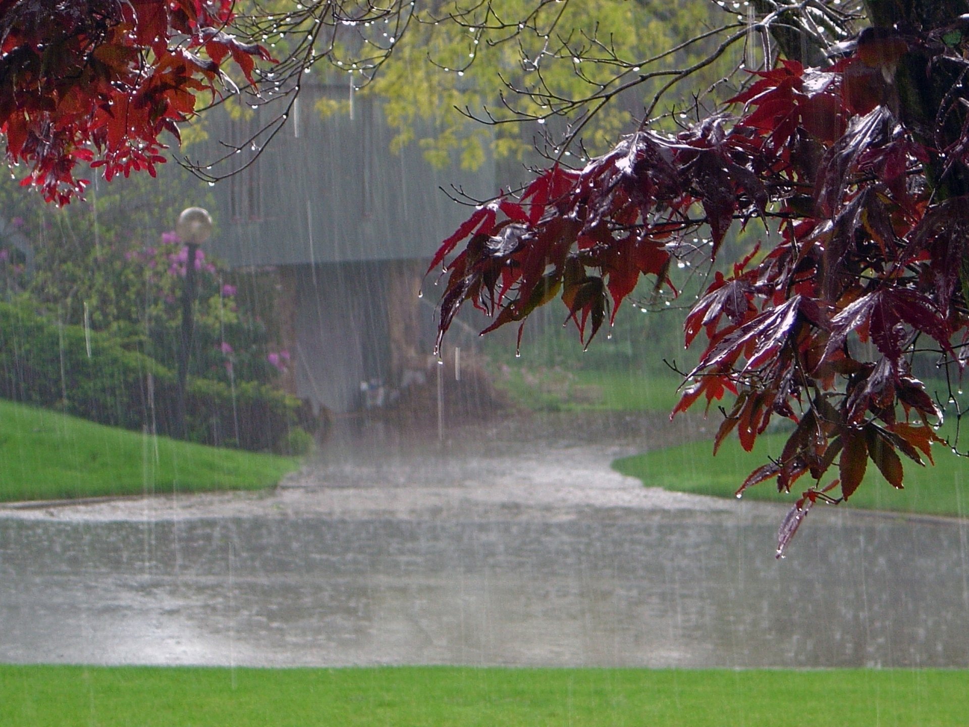 Rainy Day Images Free Download - HD Wallpaper 