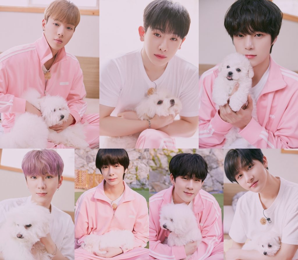 Monsta X With Puppies - HD Wallpaper 