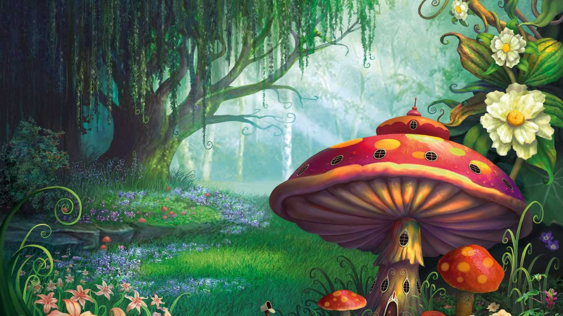 Enchanted Forest Kids - HD Wallpaper 