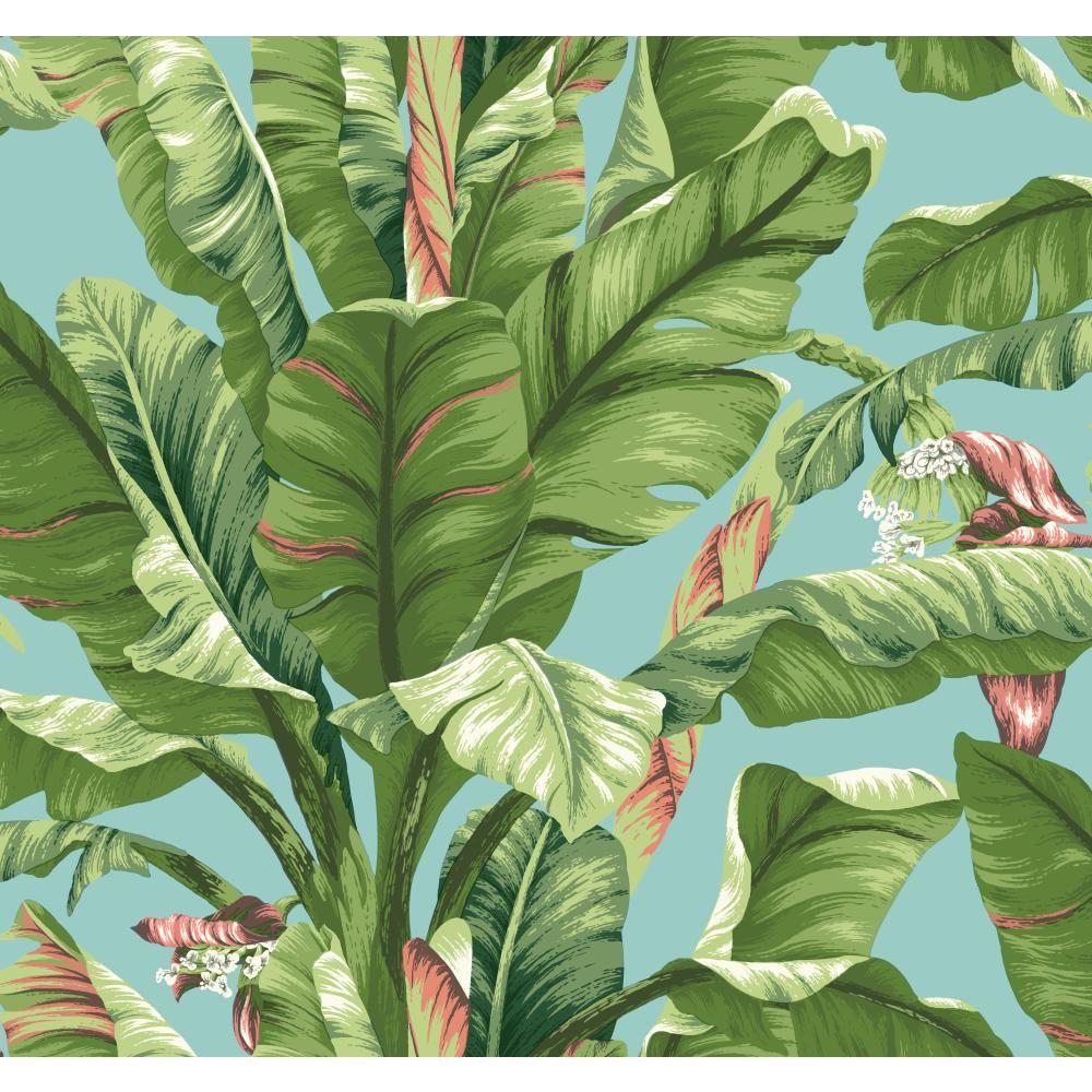 Banana Leaf Wallpaper Uk - 1000x1000 Wallpaper 
