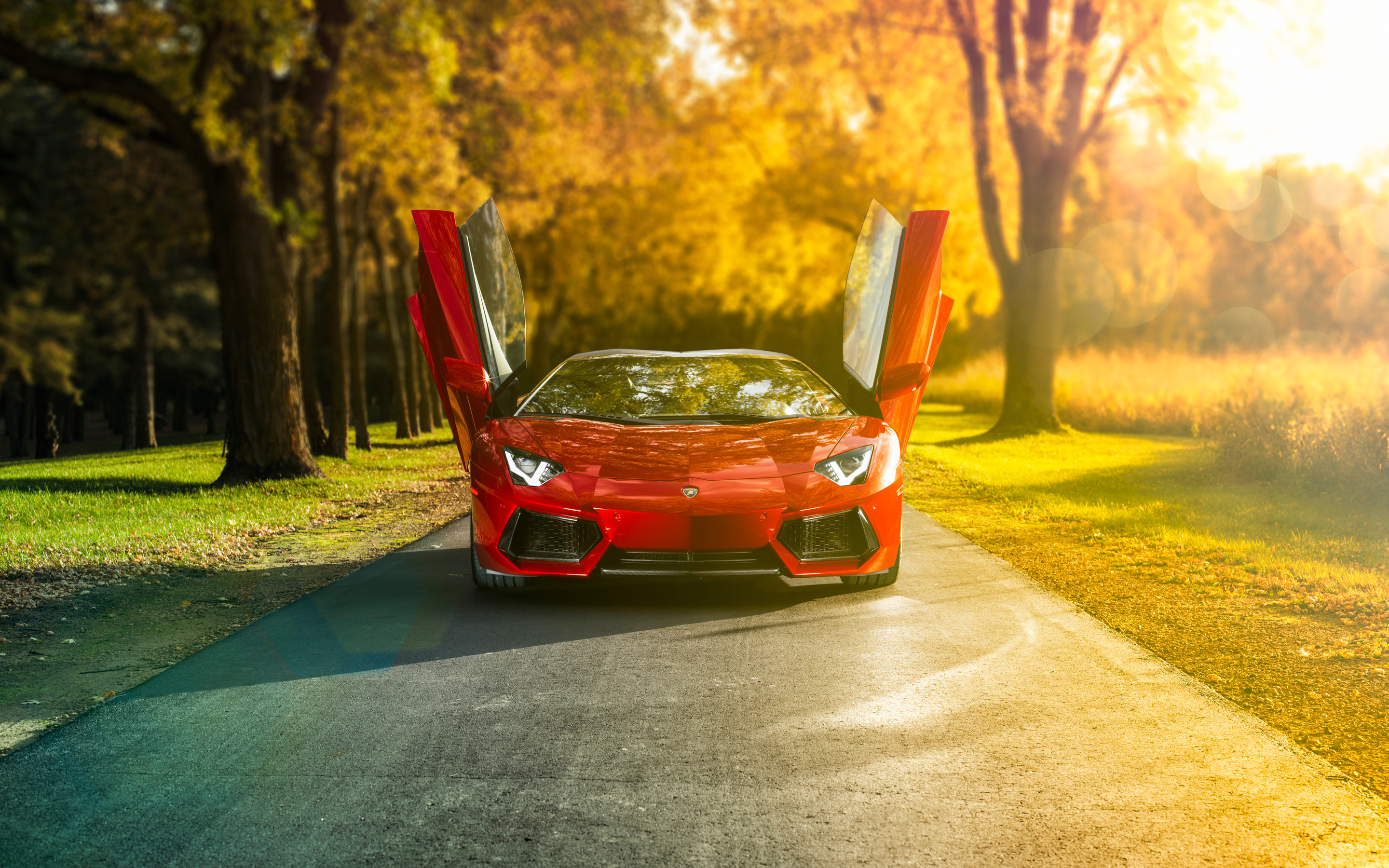 Lamborghini Aventador In Nature - HD Wallpaper 