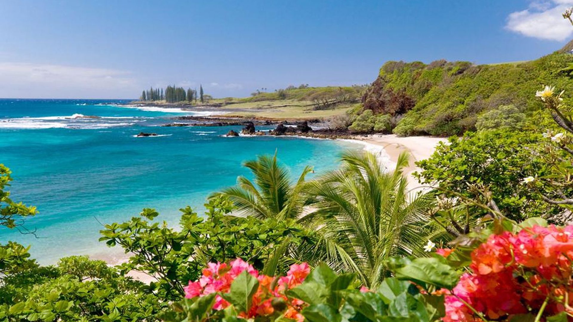 Maui Hawaii Wallpaper - Maui Hawaii - HD Wallpaper 