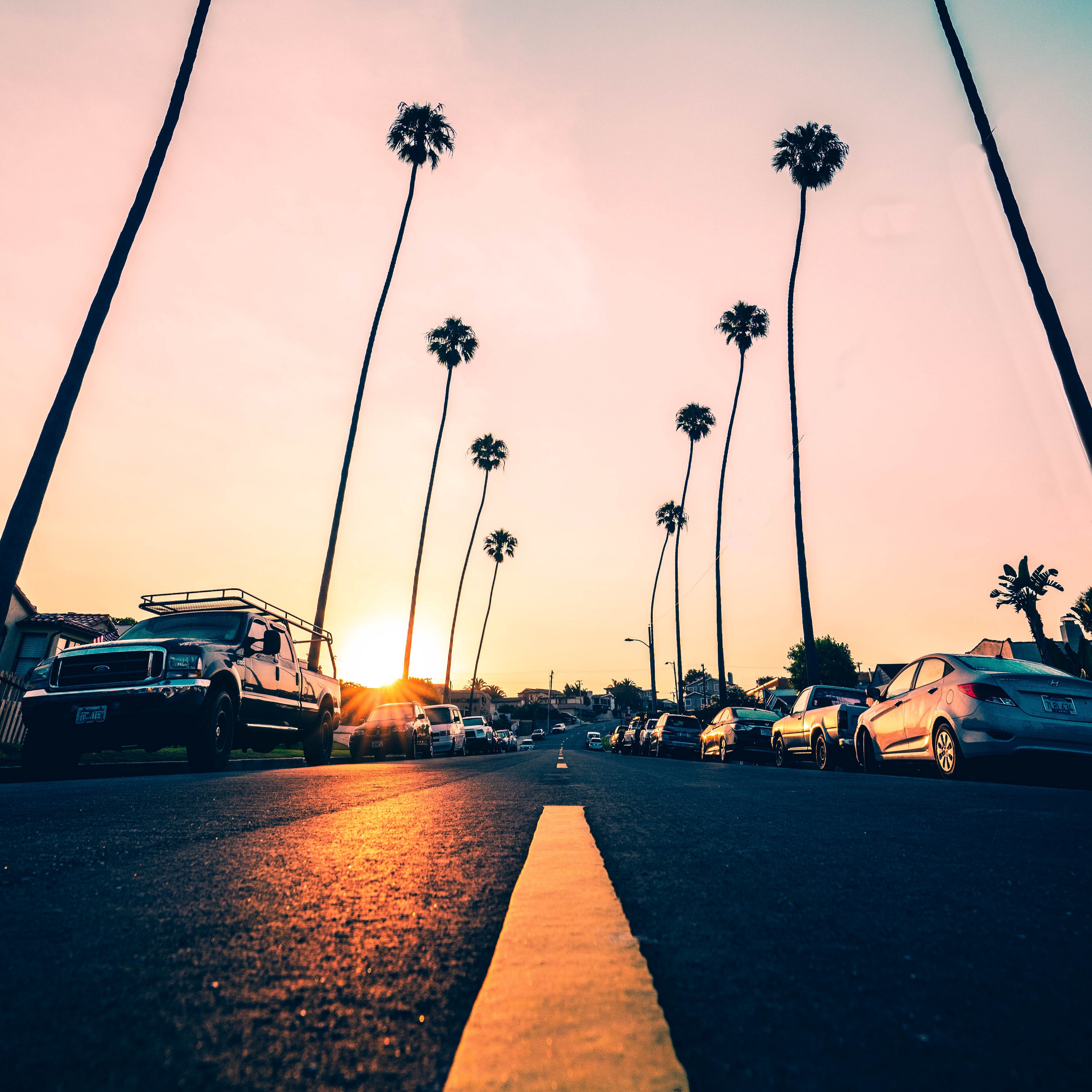 Wallpaper Road, Palm Trees, Asphalt, Cars, Marking, - California Palm Trees Iphone - HD Wallpaper 