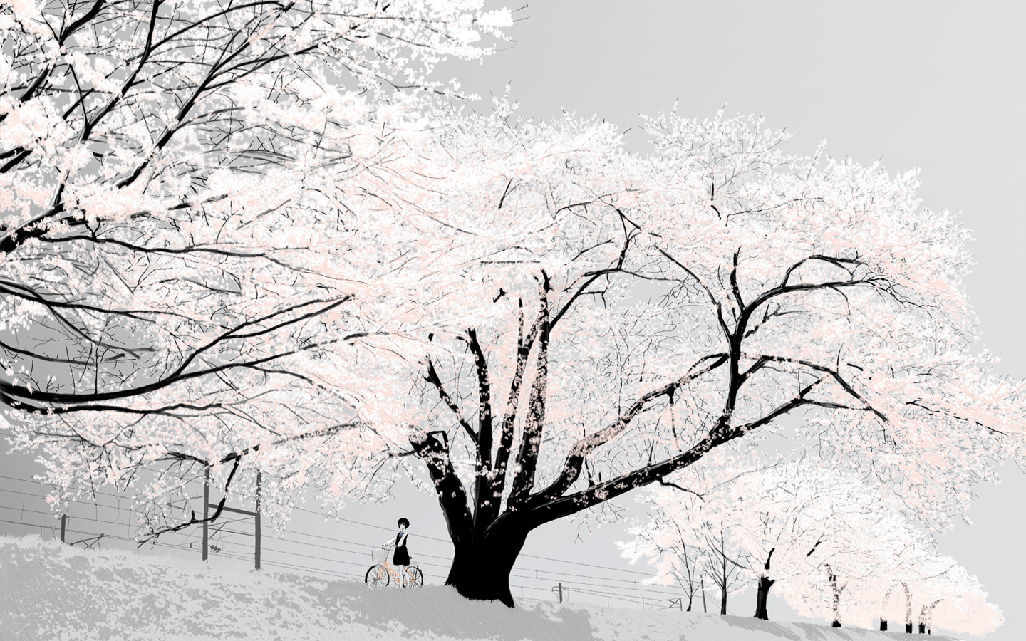 Anime, Tree, And White Image - Snow Cherry Blossom Tree - HD Wallpaper 