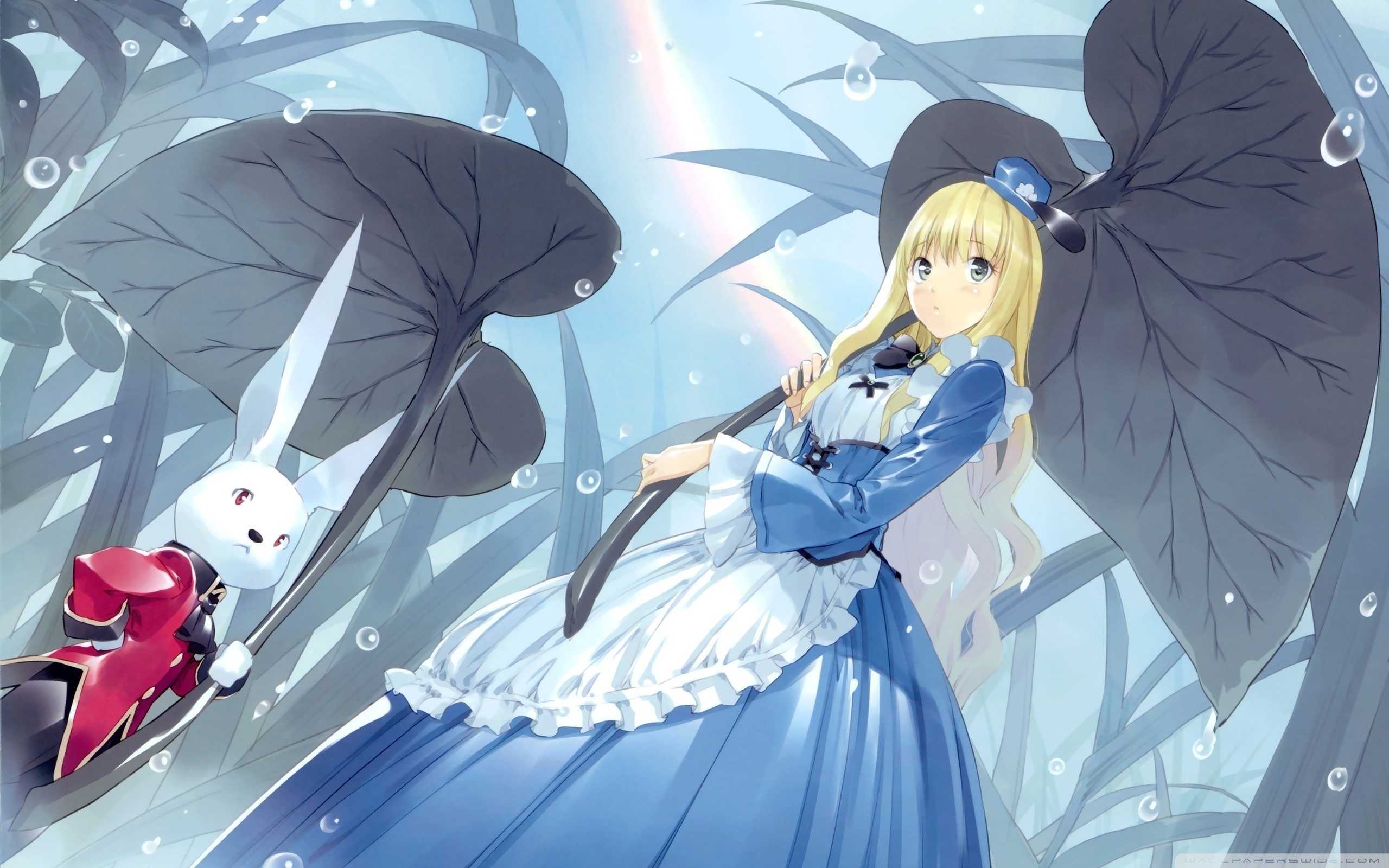 Alice In Wonderland Wallpaper Anime - HD Wallpaper 