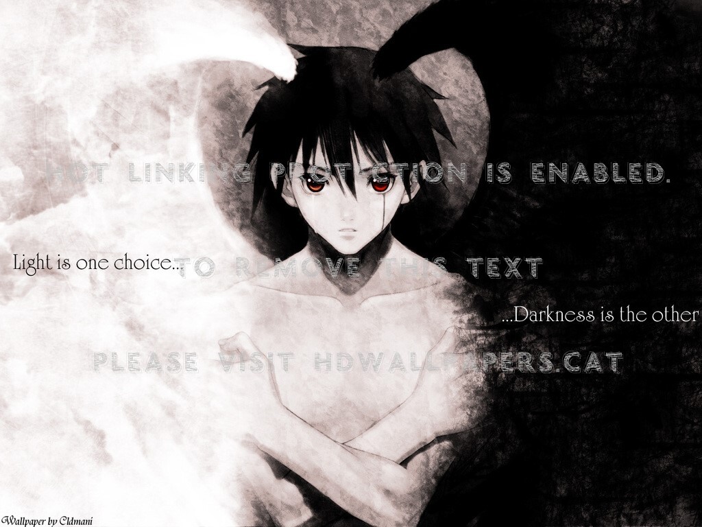 Choice Seems Evil Bad Good Anime - Light And Dark Angel Anime - 1024x768  Wallpaper 