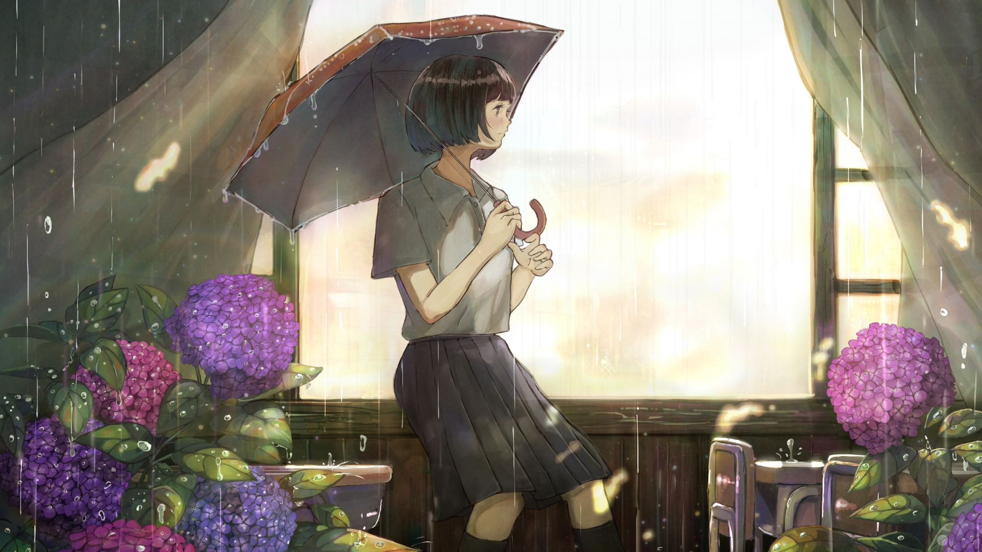 Wallpaper - HD Wallpaper 