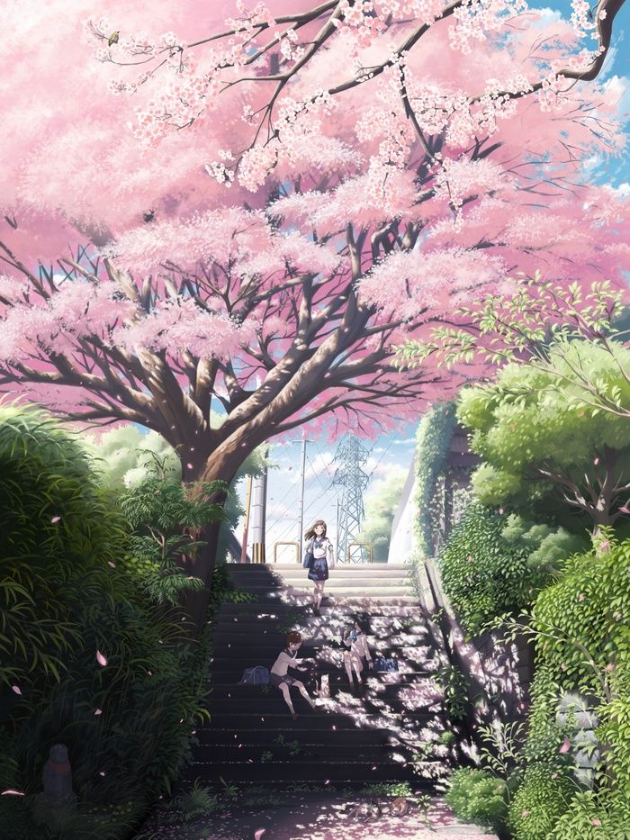 Cherry Blossom Anime Girl Wallpaper Iphone - HD Wallpaper 