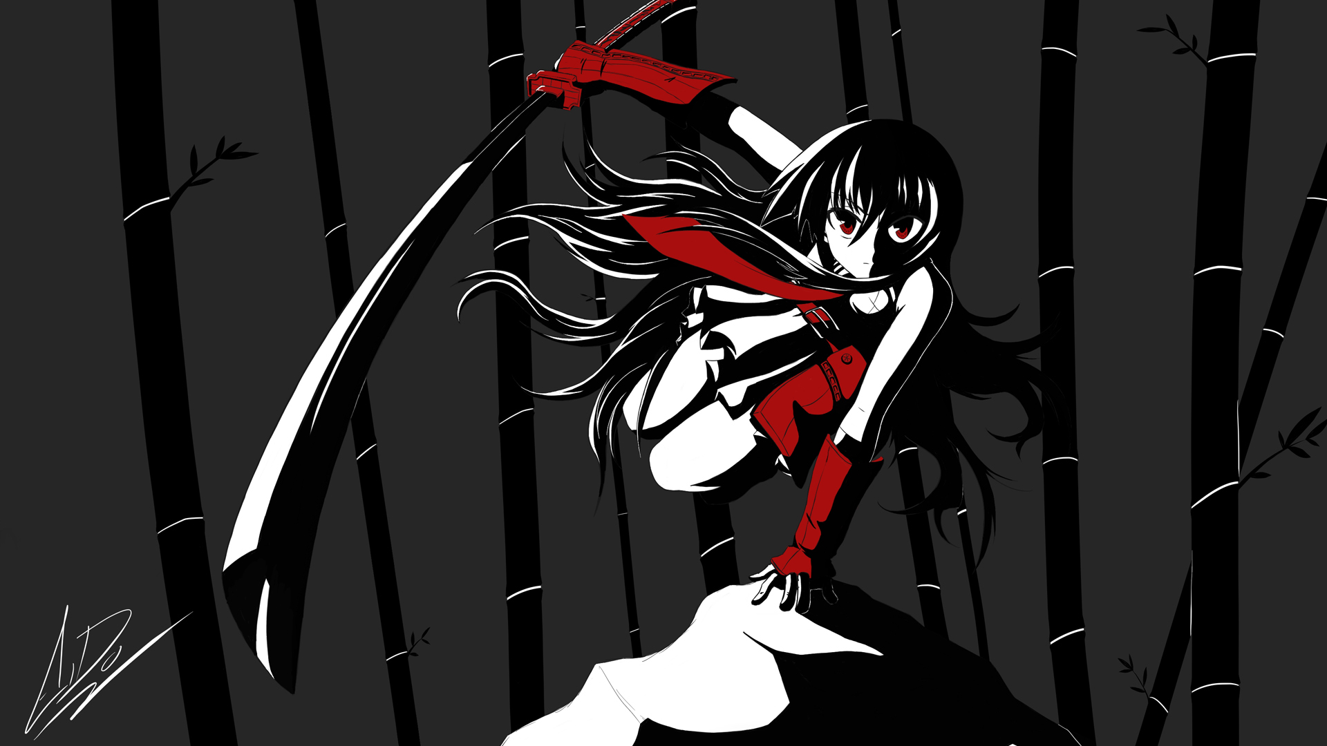 Boss From Akame Ga Kill - HD Wallpaper 