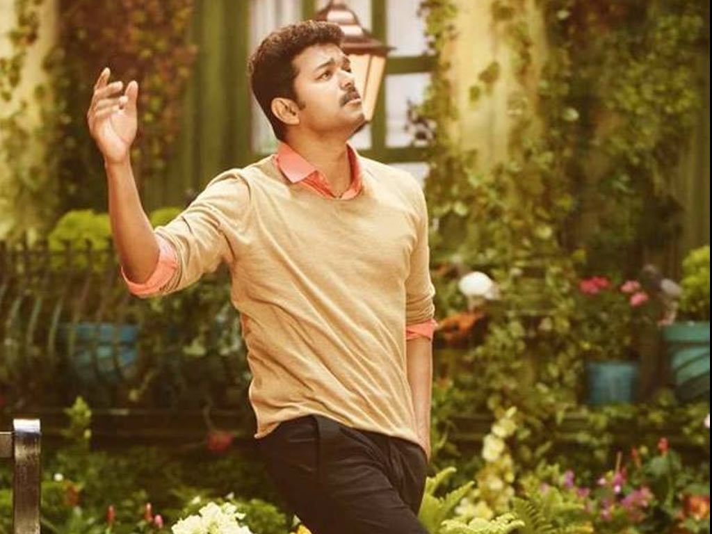 Actor Vijay - HD Wallpaper 