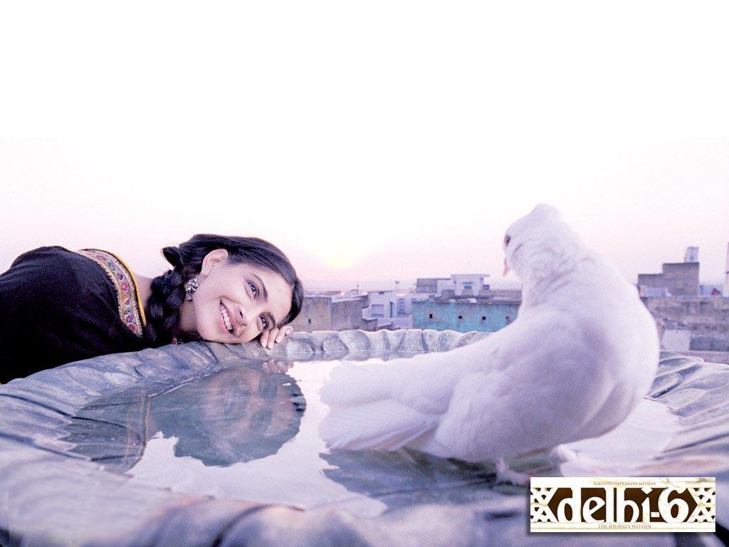 Sonam Kapoor In Delhi 6 - HD Wallpaper 