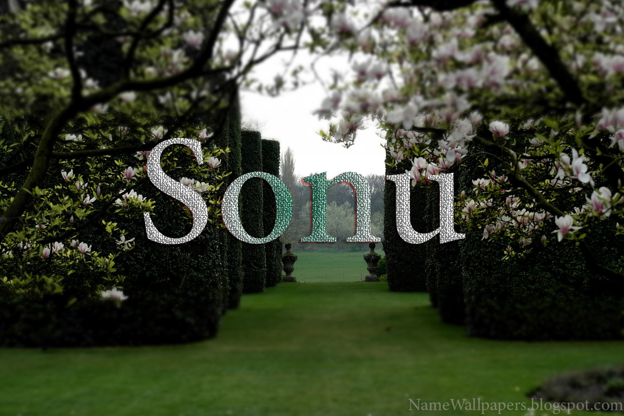 Sanu Name Dp - 1280x853 Wallpaper Sanu Name Dp - 1280x853 Wallpaper