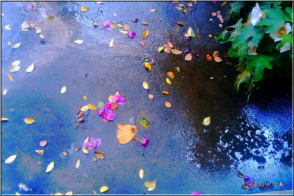 Kamran Name Wallpaper - Still Life - HD Wallpaper 