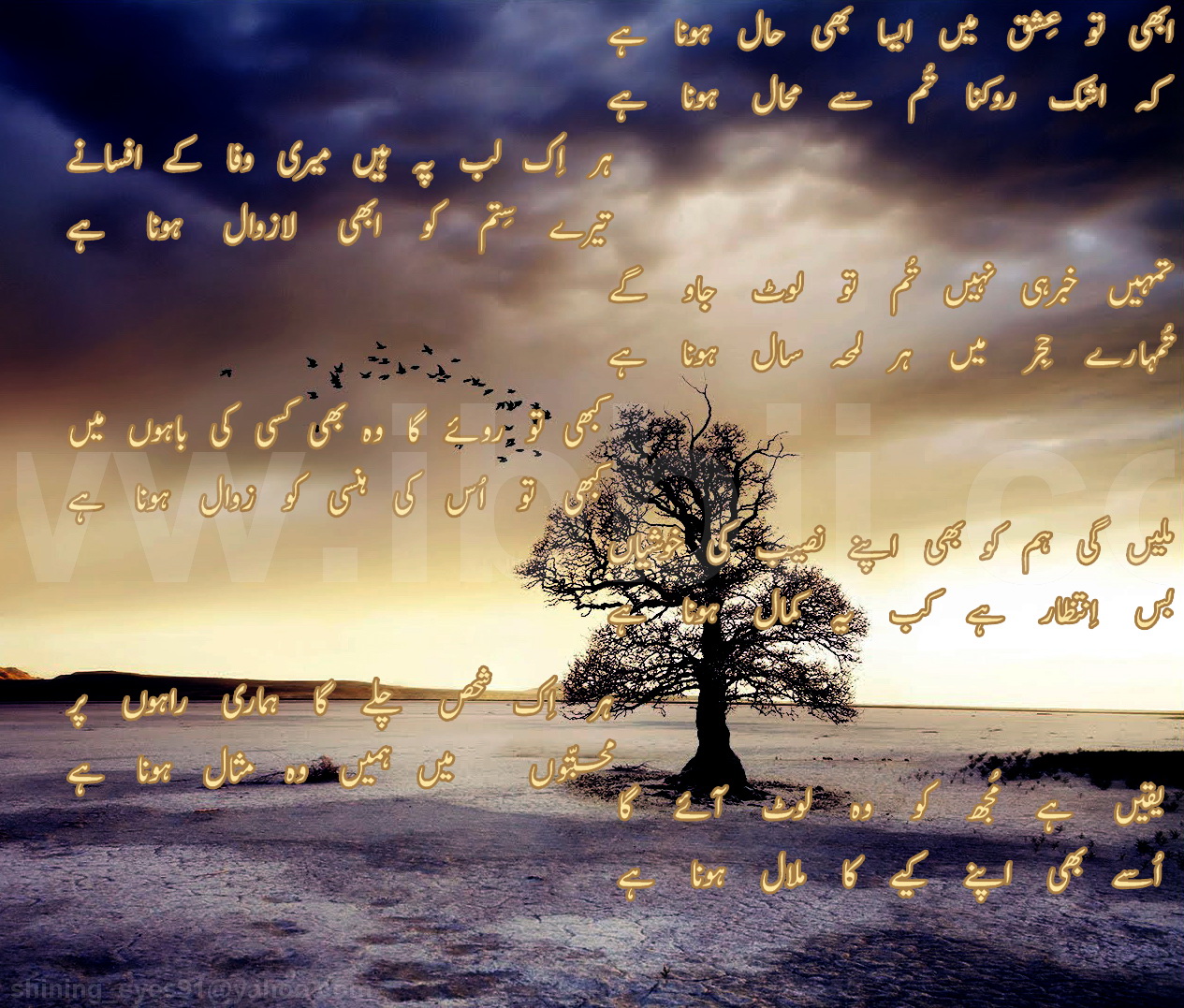 World Top Urdu Shayari - HD Wallpaper 
