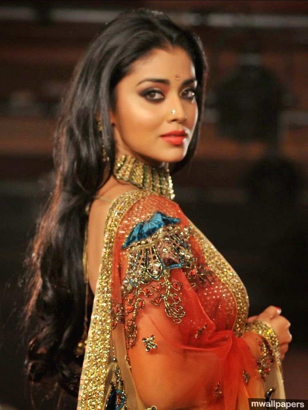 Shriya Saran Hot Hd Photos (10205) - HD Wallpaper 