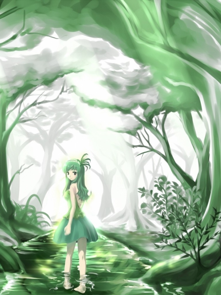 Forest Anime - HD Wallpaper 