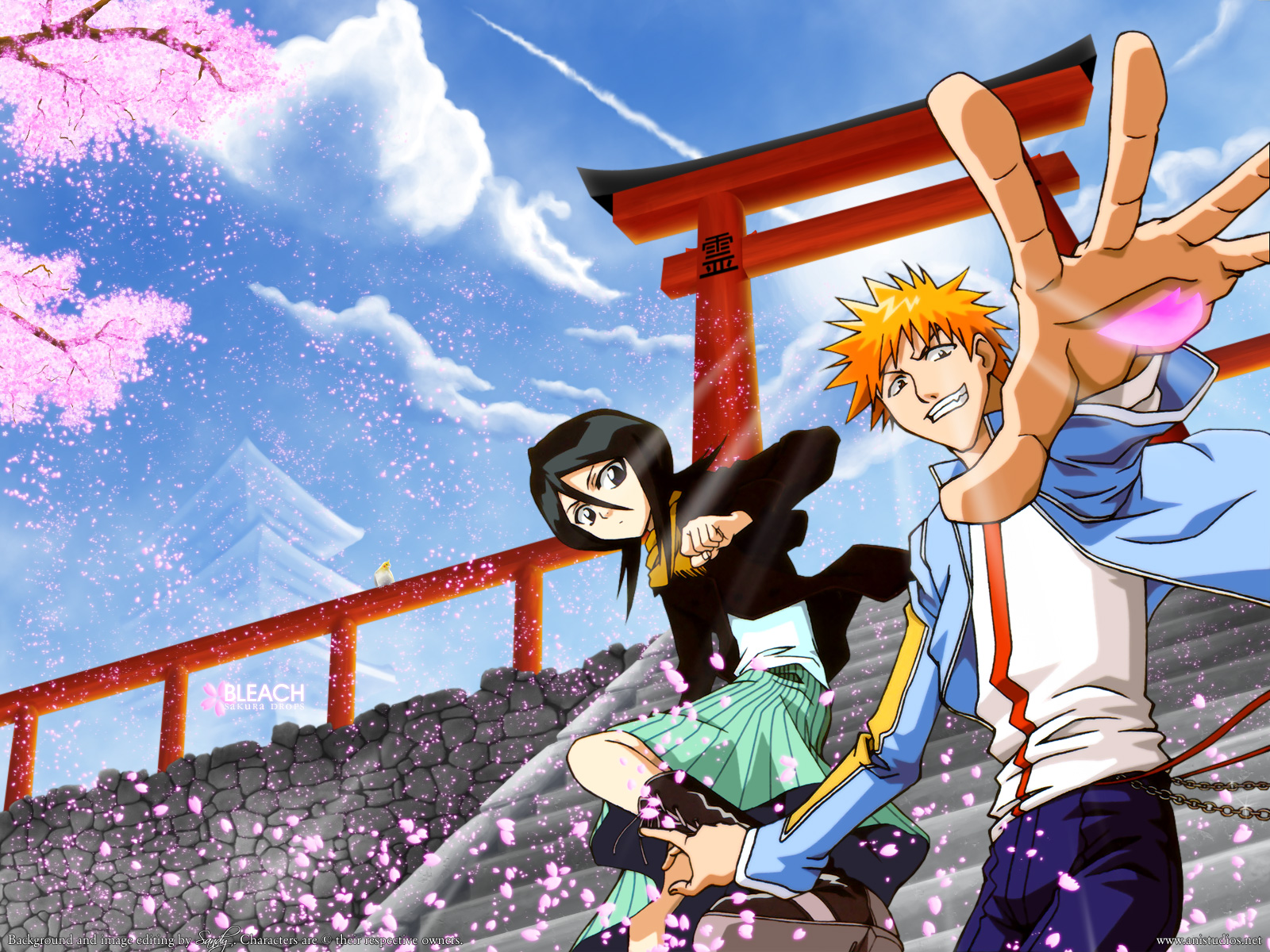 Bleach Wallpaper Ichigo Rukia - HD Wallpaper 
