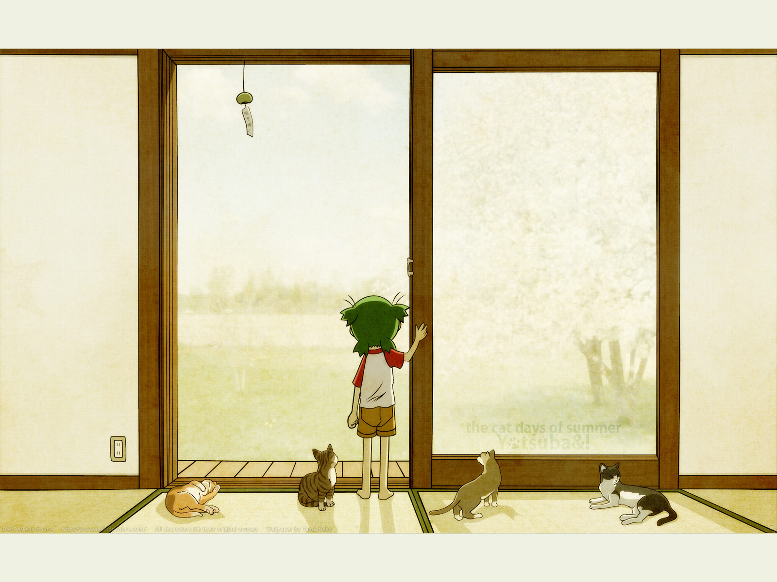 The Cat Days Of Summer - Yotsuba Wallpaper Hd - HD Wallpaper 