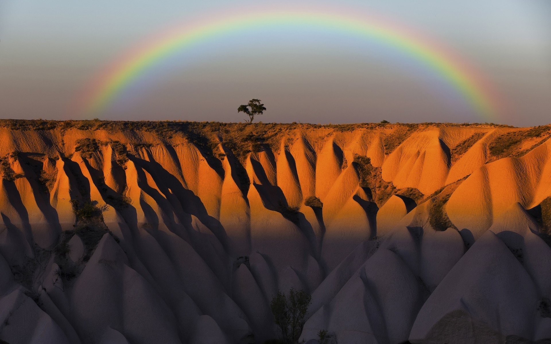 Photo Wallpaper The Sky, Mountains, Tree, Rocks, Rainbow, - National Geographic Rainbow Photography - HD Wallpaper 