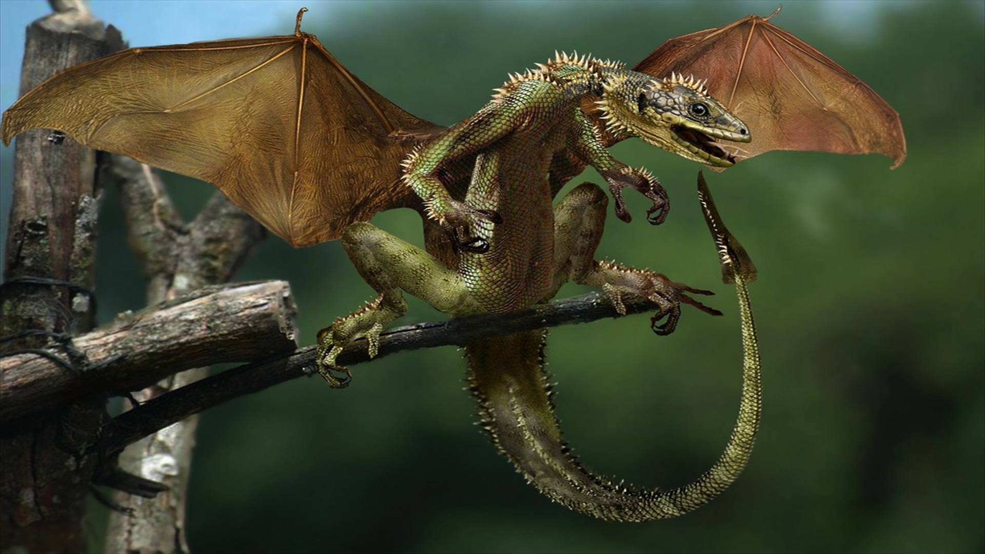 Real Green Dragon - HD Wallpaper 